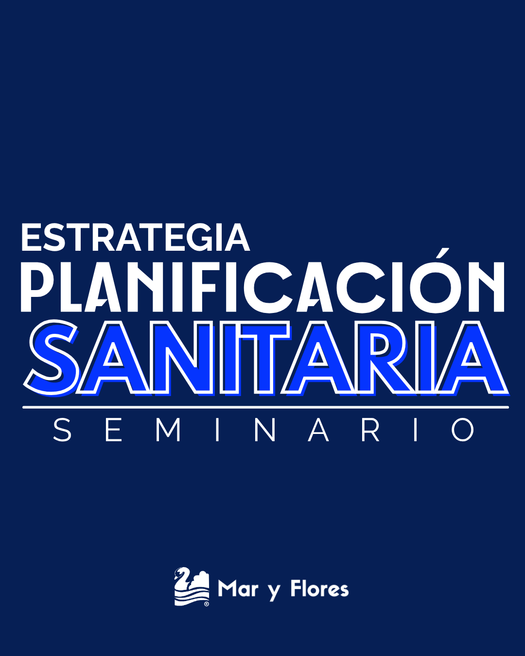Seminario Estrategia Planificación Sanitaria: imagen 1
