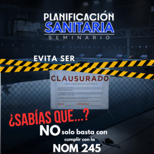 Seminario Estrategia Planificación Sanitaria: imagen 4