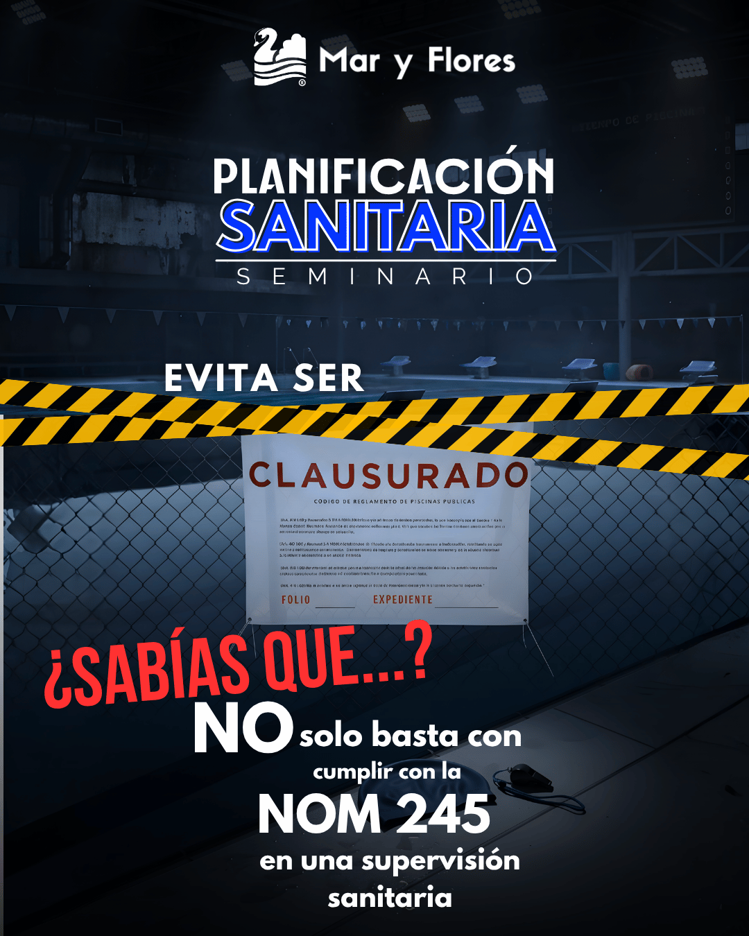 Seminario Estrategia Planificación Sanitaria: imagen 4