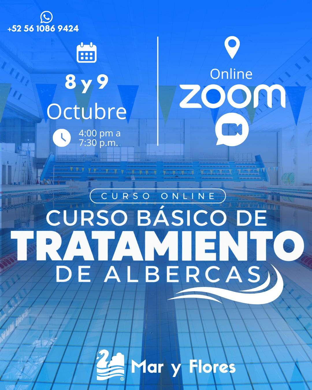 Curso Basico de tratamiento de piscinas Online: imagen 2